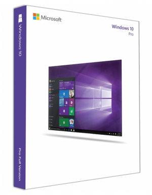 Windows 10 Professional OEM